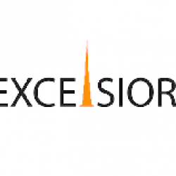 Excelsior_Group